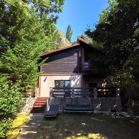 Mountain Family Chalet On Prahova Valley Comarnic Εξωτερικό φωτογραφία