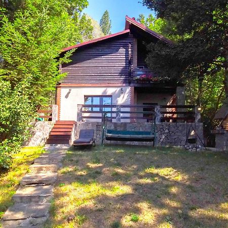 Mountain Family Chalet On Prahova Valley Comarnic Εξωτερικό φωτογραφία