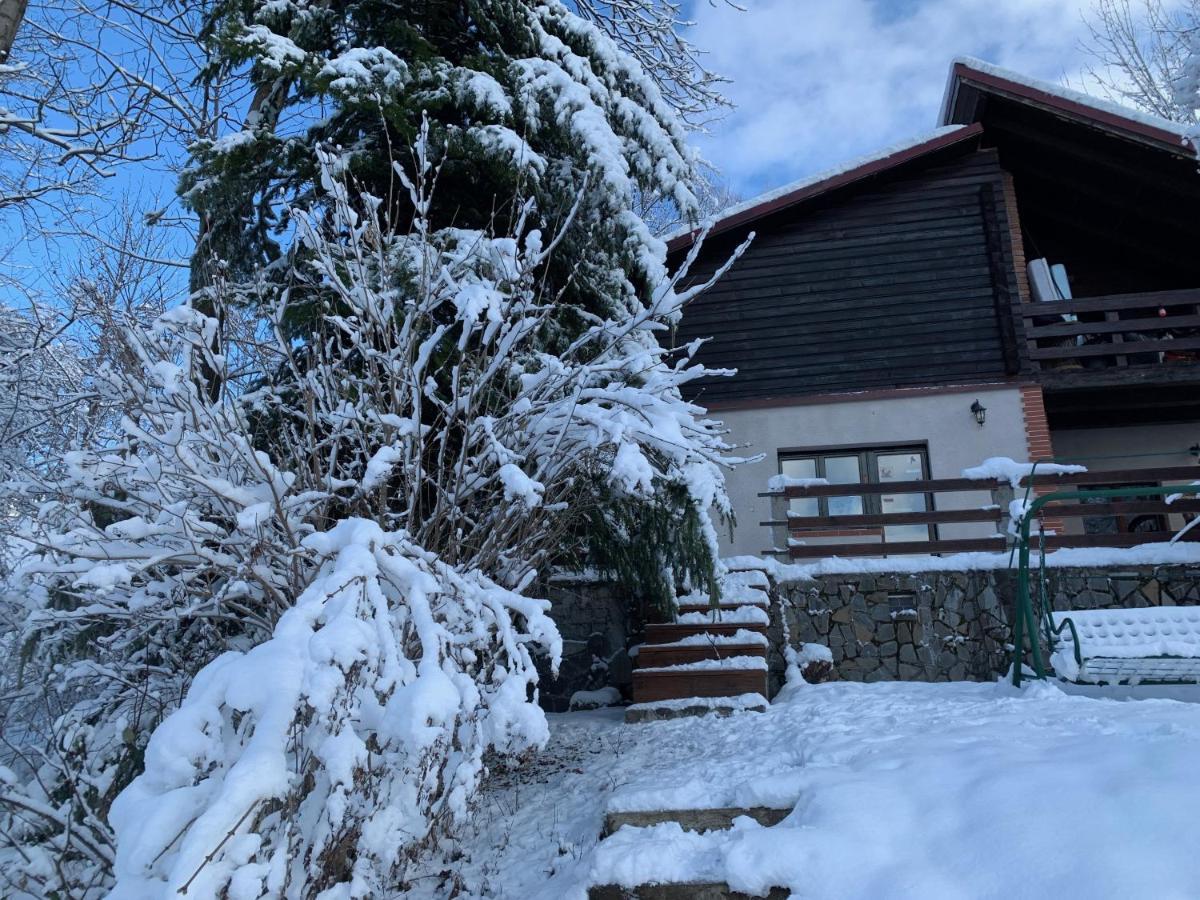 Mountain Family Chalet On Prahova Valley Comarnic Εξωτερικό φωτογραφία