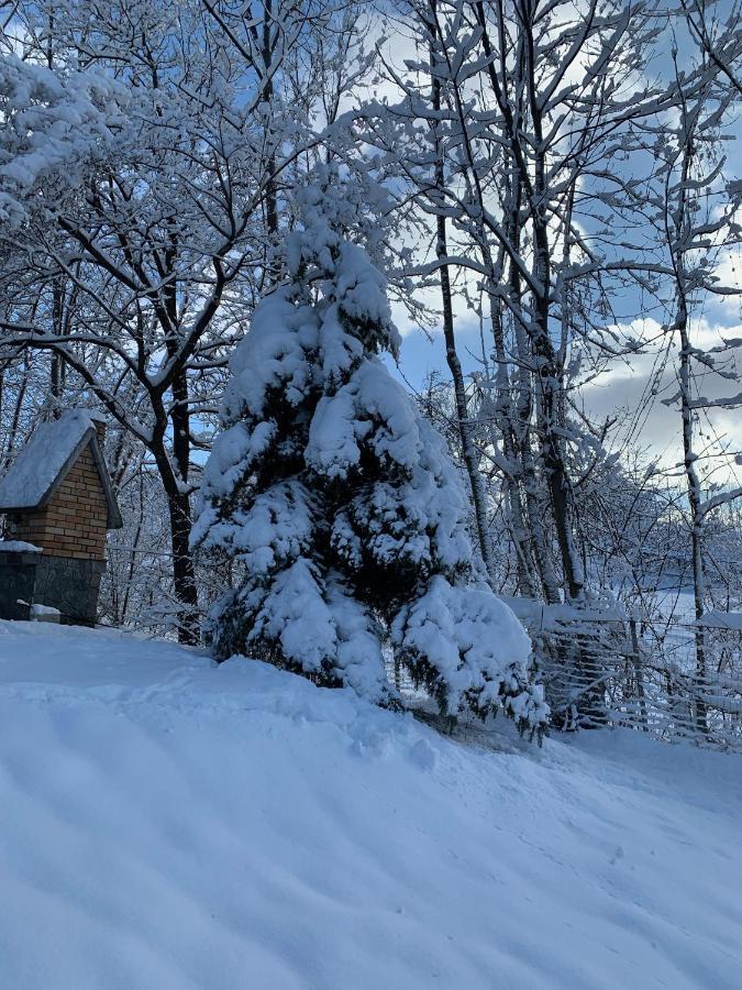 Mountain Family Chalet On Prahova Valley Comarnic Εξωτερικό φωτογραφία