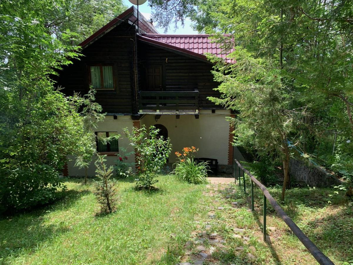 Mountain Family Chalet On Prahova Valley Comarnic Εξωτερικό φωτογραφία