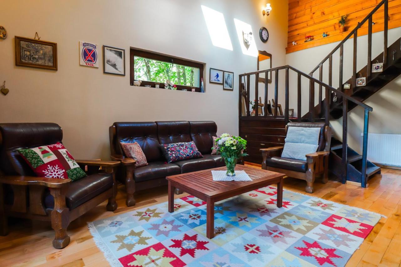 Mountain Family Chalet On Prahova Valley Comarnic Εξωτερικό φωτογραφία