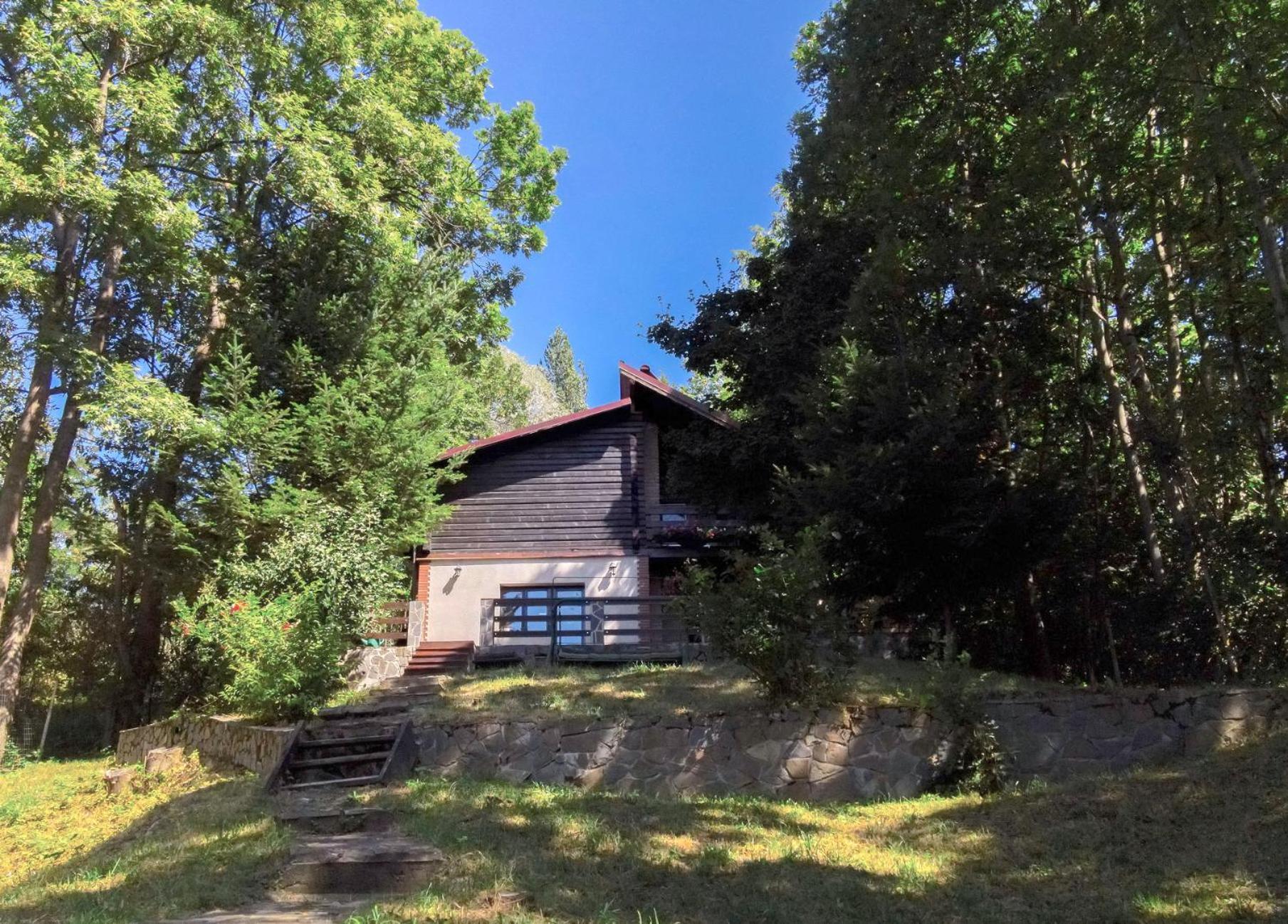 Mountain Family Chalet On Prahova Valley Comarnic Εξωτερικό φωτογραφία