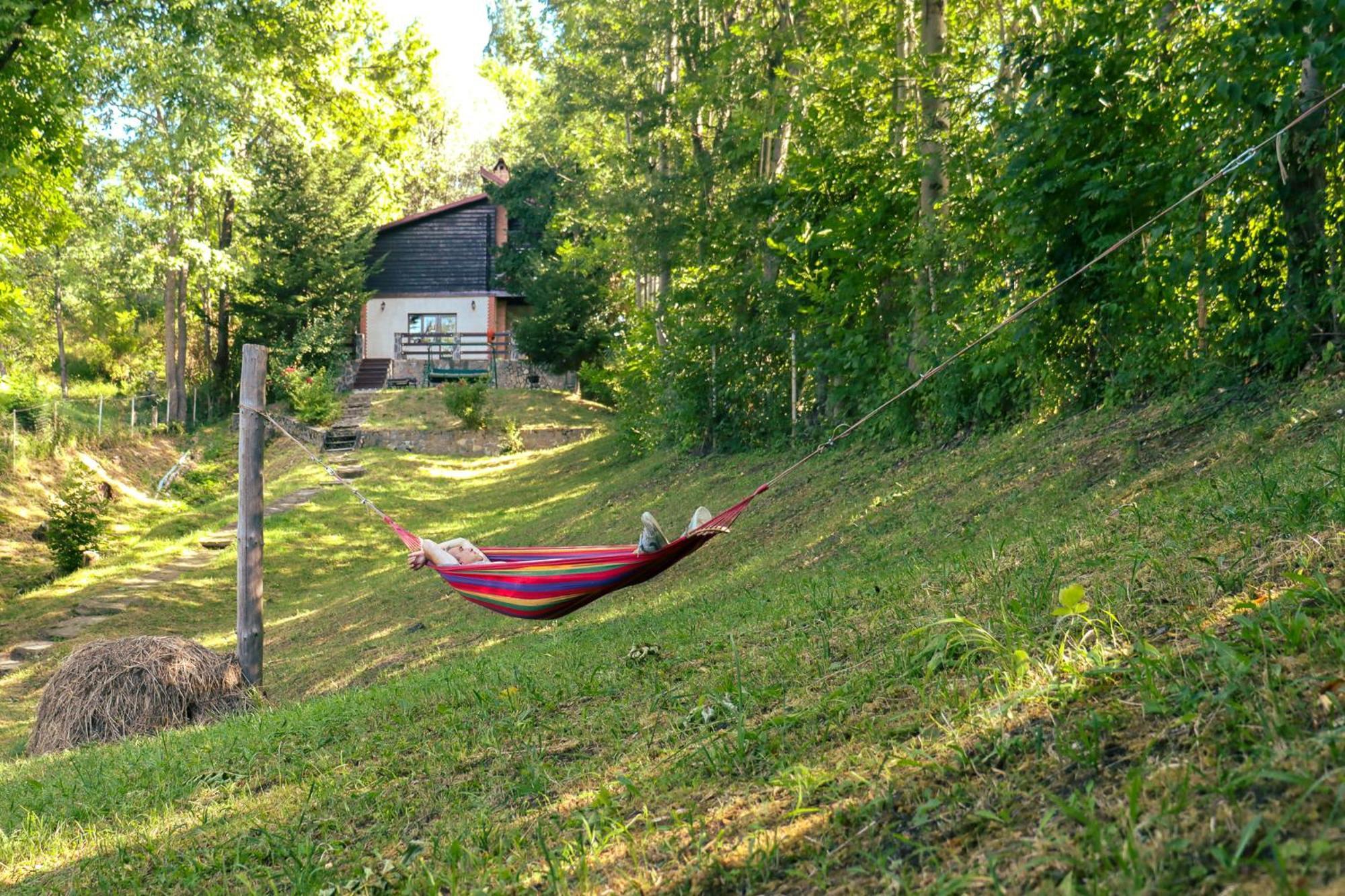 Mountain Family Chalet On Prahova Valley Comarnic Εξωτερικό φωτογραφία