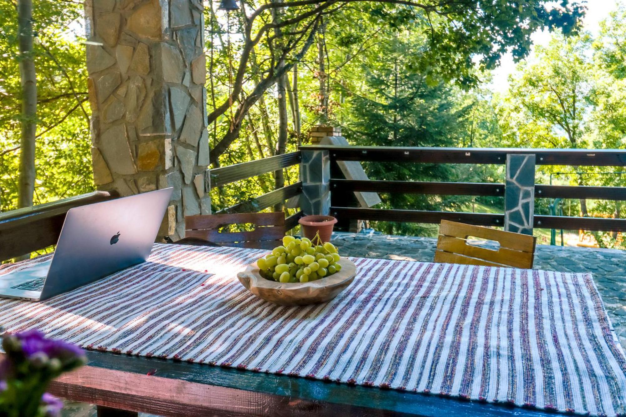 Mountain Family Chalet On Prahova Valley Comarnic Εξωτερικό φωτογραφία